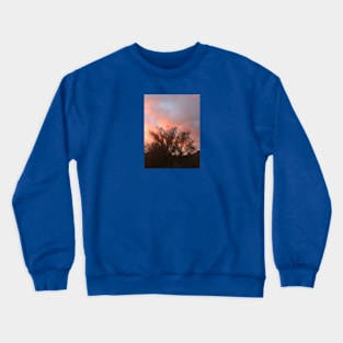 Palo rose Crewneck Sweatshirt